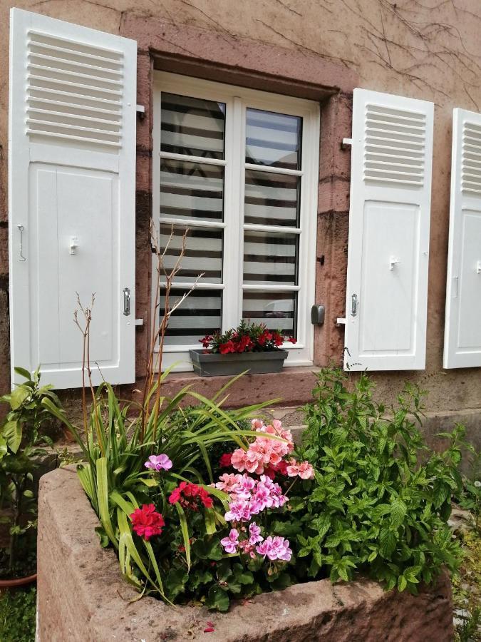 Gite Le Patio Кайзерсберг Экстерьер фото